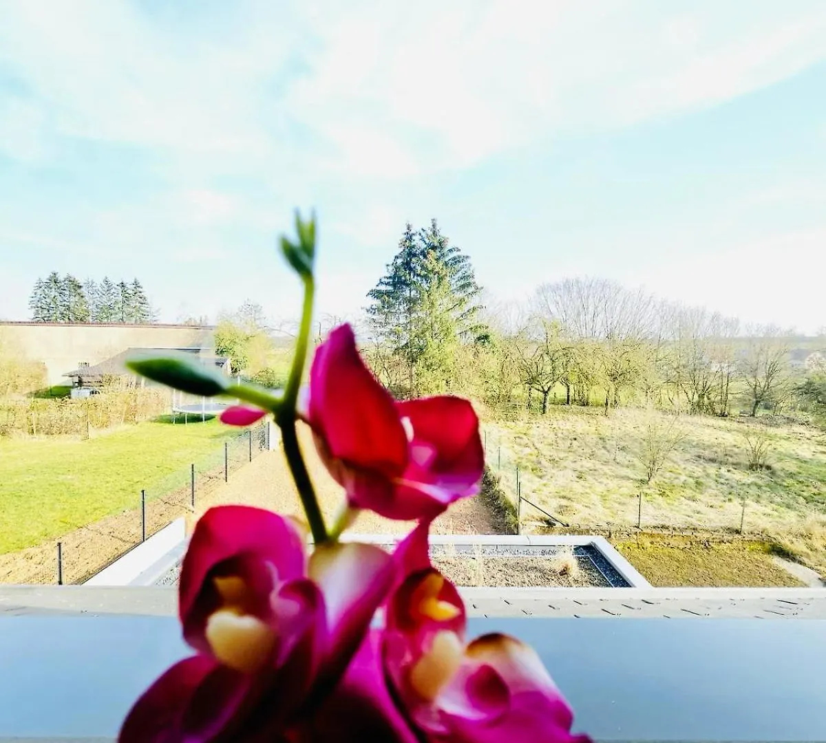 Lägenhet Spacious 3 Bedroom With Large Terrace And Parking-Shut1 Schuttrange Luxemburg